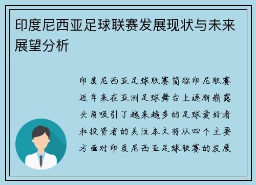 印度尼西亚足球联赛发展现状与未来展望分析